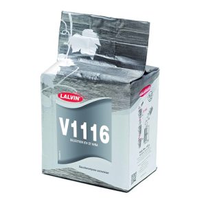 Kvasac Lalvin V 1116