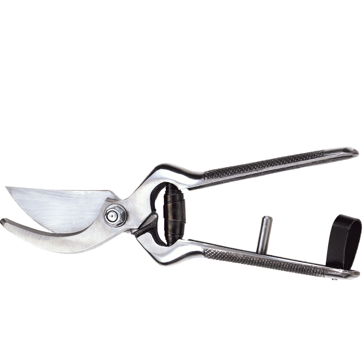 Vinogradarske