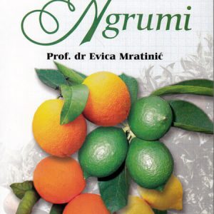 Agrumi –  autor prof. Evica Mratinić