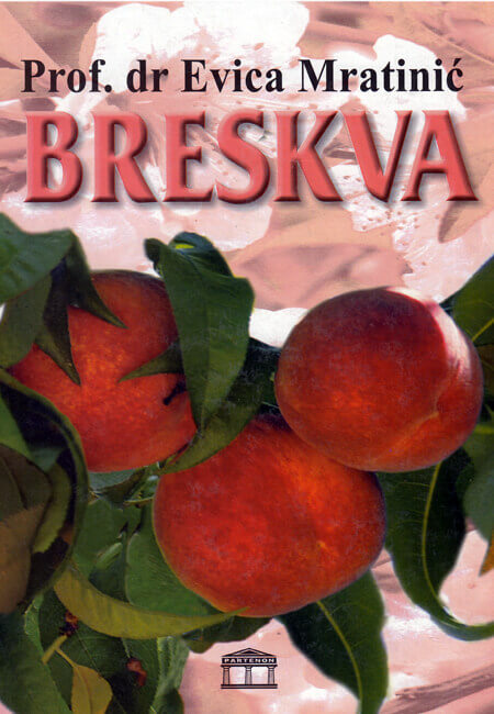 Breskva- autor prof. Evica Mratinić