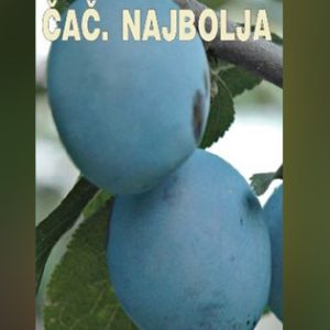 Čačanska Najbolja