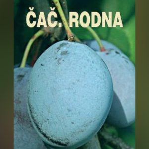 Čačanska Rodna