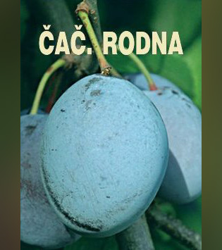 Čačanska Rodna