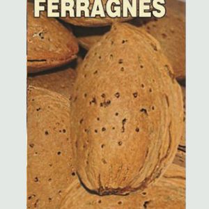 Ferragnez badem