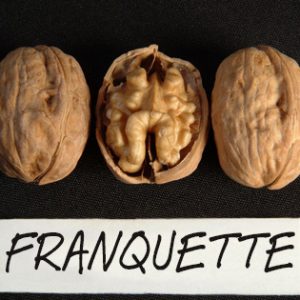 Franquete