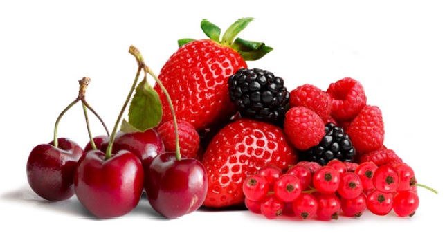 Tanin Opera Fruity, Perdomini IOC, 100g