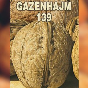 Gazenhajm 139