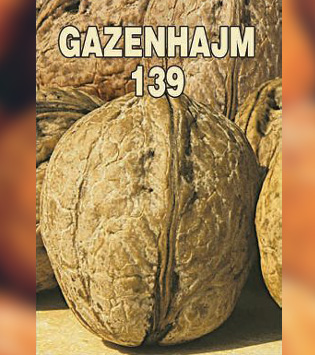 Gazenhajm 139