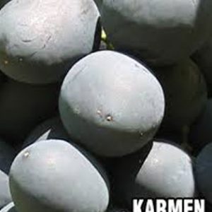 Karmen