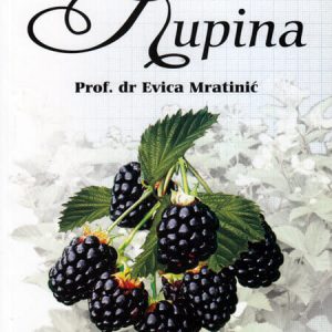 Kupina- autor prof. Evica Mratinić