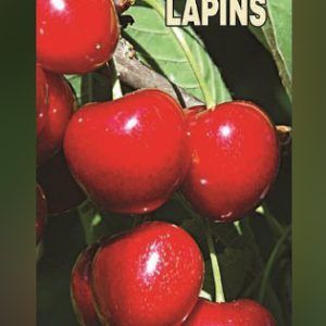 Lapins