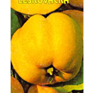 Leskovačka