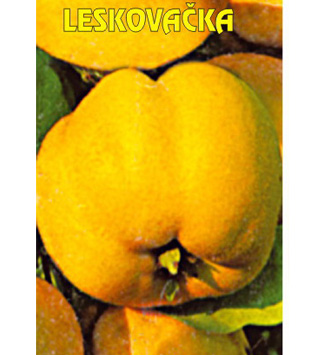 Leskovačka