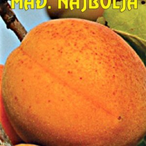 Madjarska Najbolja