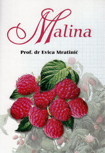 Malina-autor prof.Evica Mratinić
