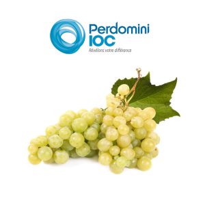 Tanin Opera Grape, Perdomini IOC
