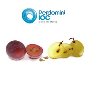 Tanin Opera Seed, Perdomini IOC, 100g