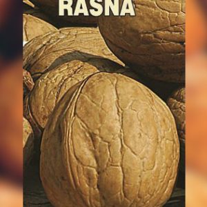Rasna