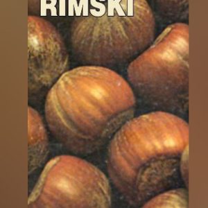Rimski