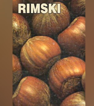 Rimski