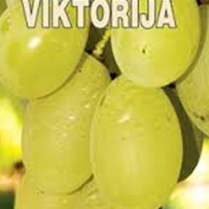 Viktorija