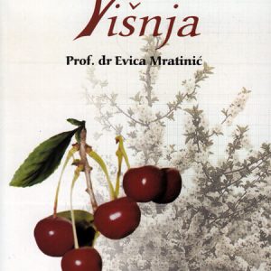 Višnja- autor prof.Evica Mratinić