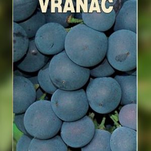 Vranac